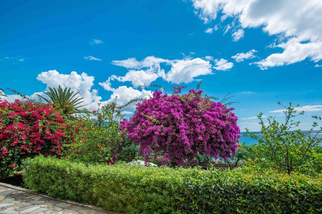 Douka Sea Front Residencies Apartment Monemvasia Ruang foto