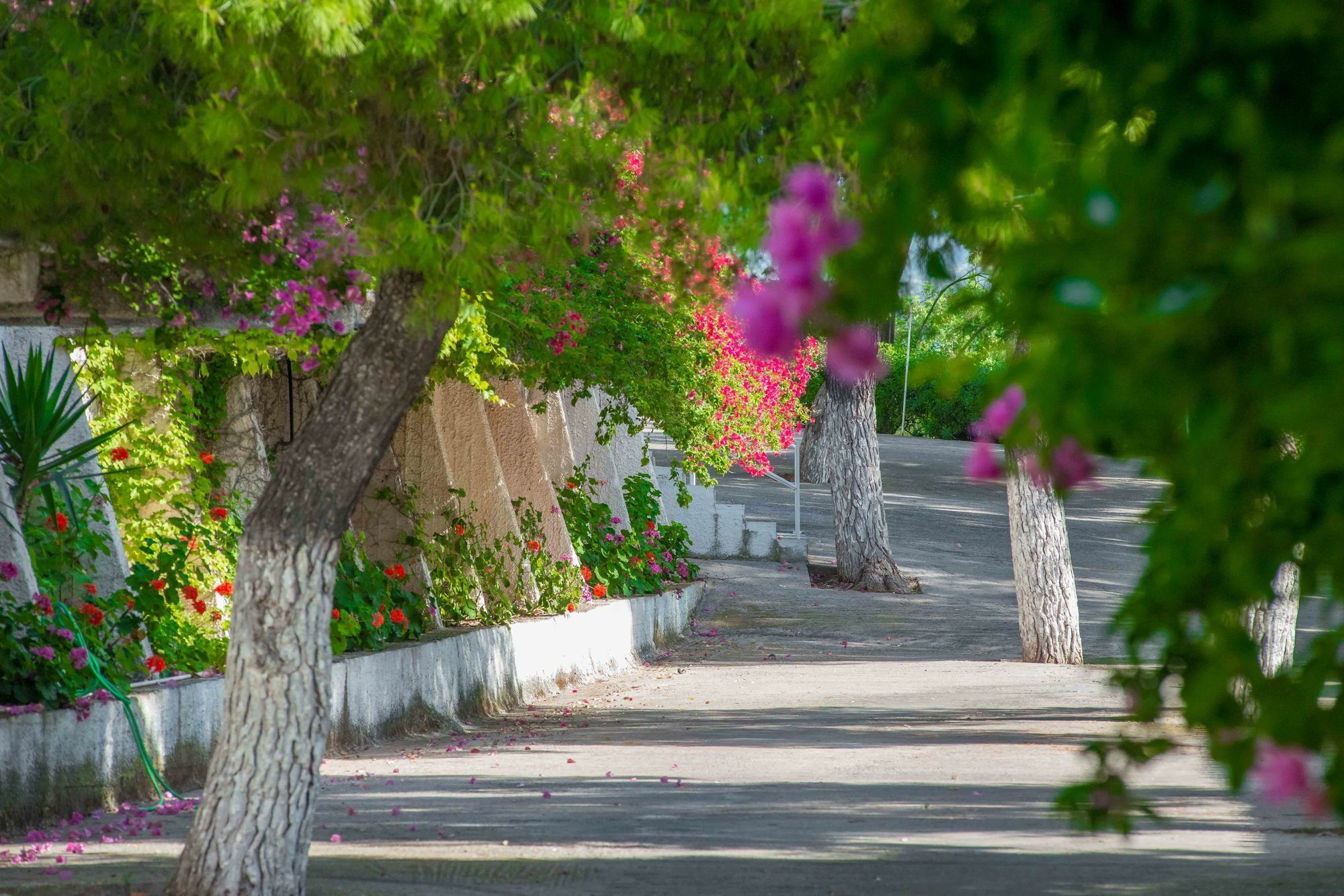 Douka Sea Front Residencies Apartment Monemvasia Bagian luar foto